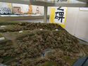 Nagurumi45.jpg