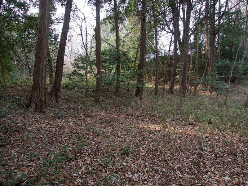 File:Nijojo26.jpg
