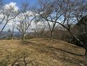 Ogawakoka26.jpg