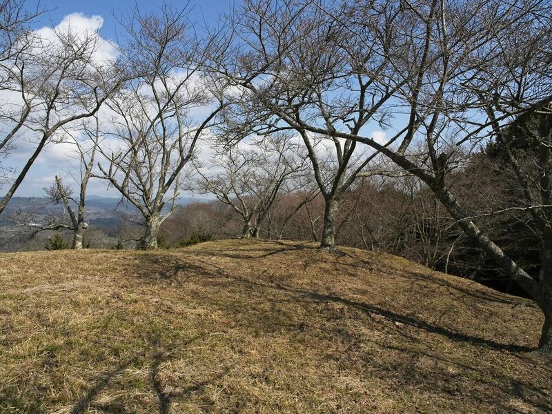 File:Ogawakoka26.jpg