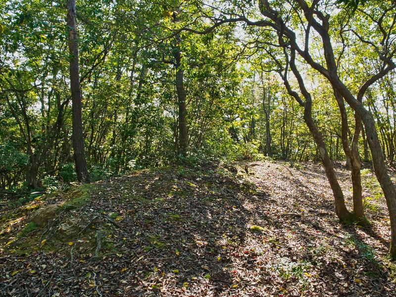 File:Shiogai9.jpg
