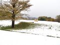 Thumbnail for version as of 10:55, 24 January 2021