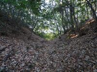 Yamana11.jpg