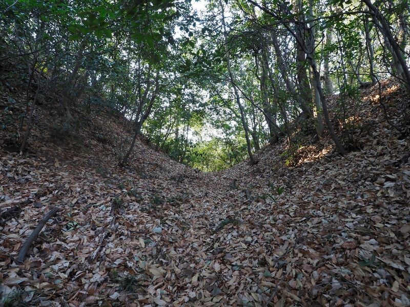 File:Yamana11.jpg