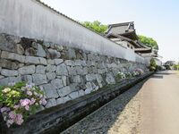 GamouMinamitsudajou (2).JPG