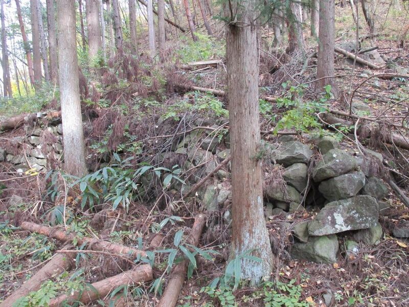 File:HanishinaKurumajou (10).jpg