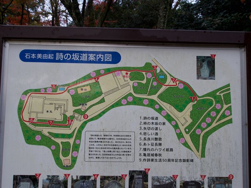 File:Kamei6.jpg