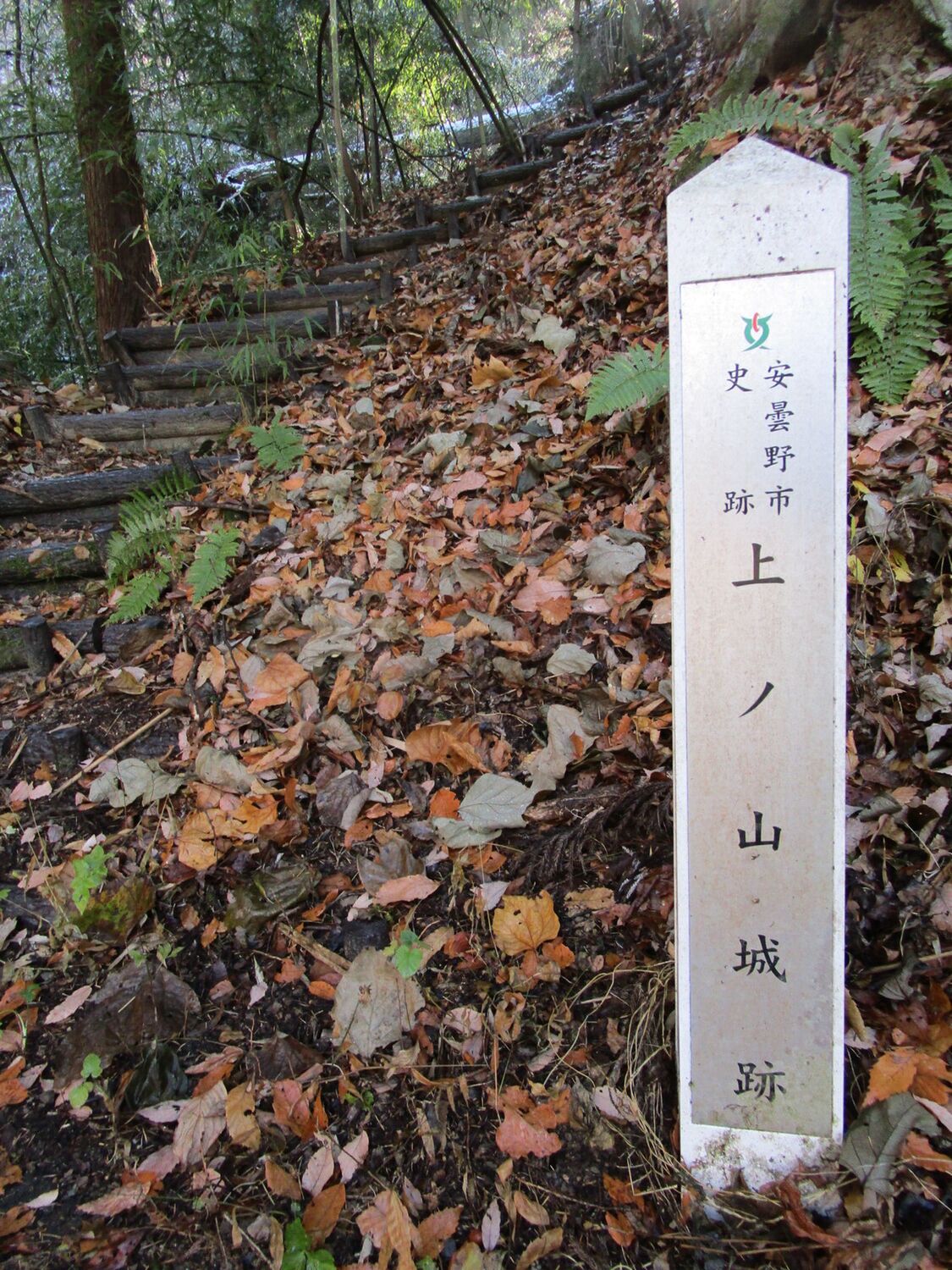 Kaminoyamajō06.JPG