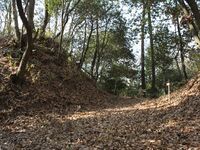 Kaseyamakyoto58.jpg