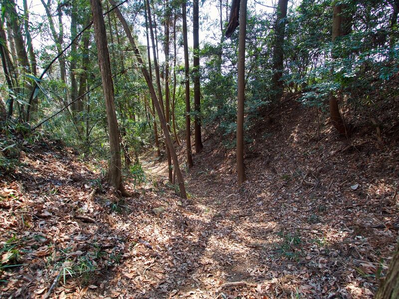 File:Nishikata6.jpg