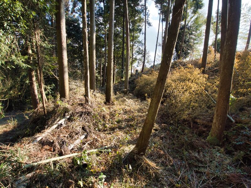 File:Okishikokaiii12.jpg