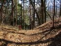 SuwaReishousanjou (6).JPG