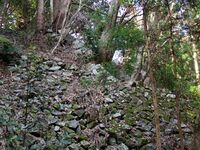 Takatori100.jpg