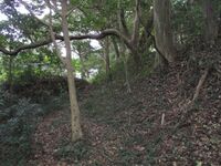 Utsuyamajou (4).jpg