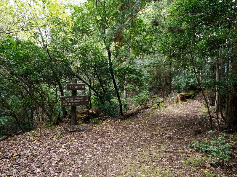 File:Yakamitanba46.jpg