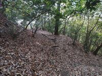 Yamana10.jpg