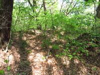 AragaitoToride (9).JPG