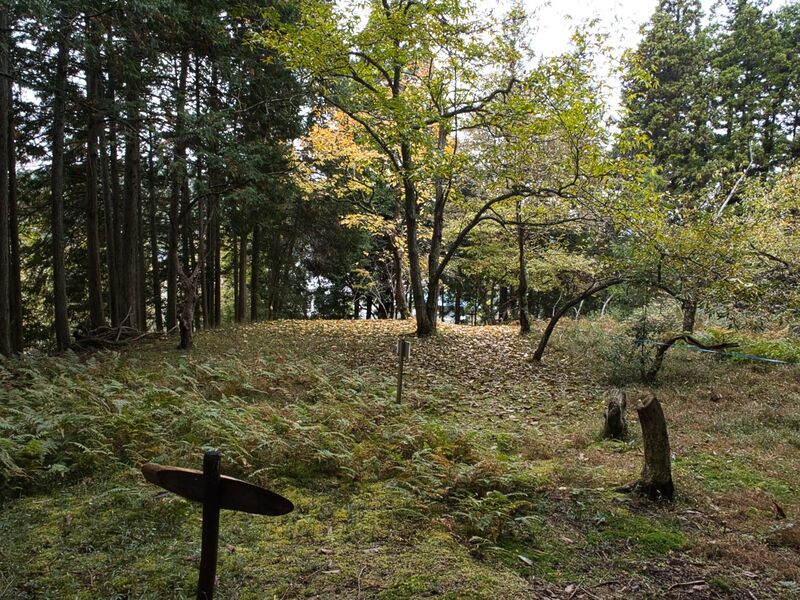 File:Habukyoto36.jpg