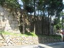 Hanakuma (13).JPG