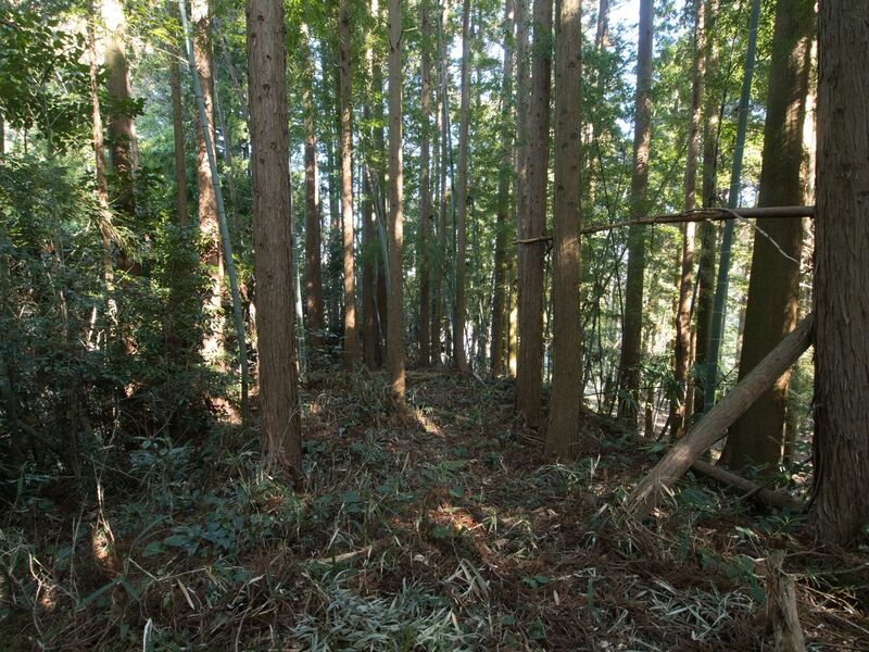 File:Hattori5.jpg