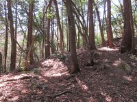 KanzakiWadayamakojou (1).JPG
