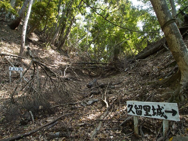 File:Kokururi17.jpg