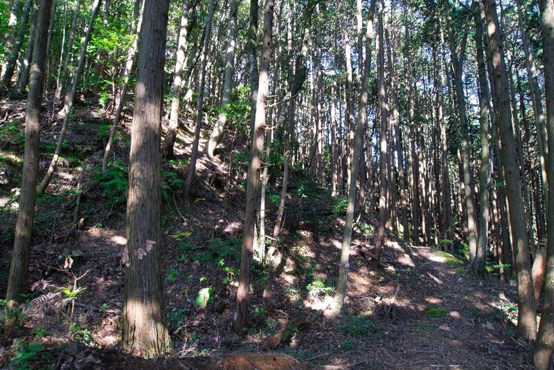 File:Nakaara10.jpg