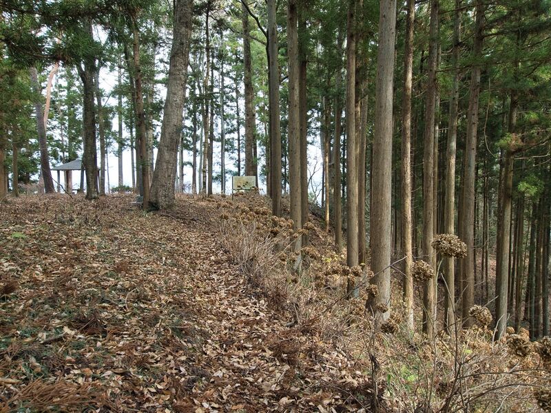 File:Ogoe17.jpg