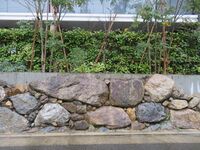 Shigetsu (1).JPG