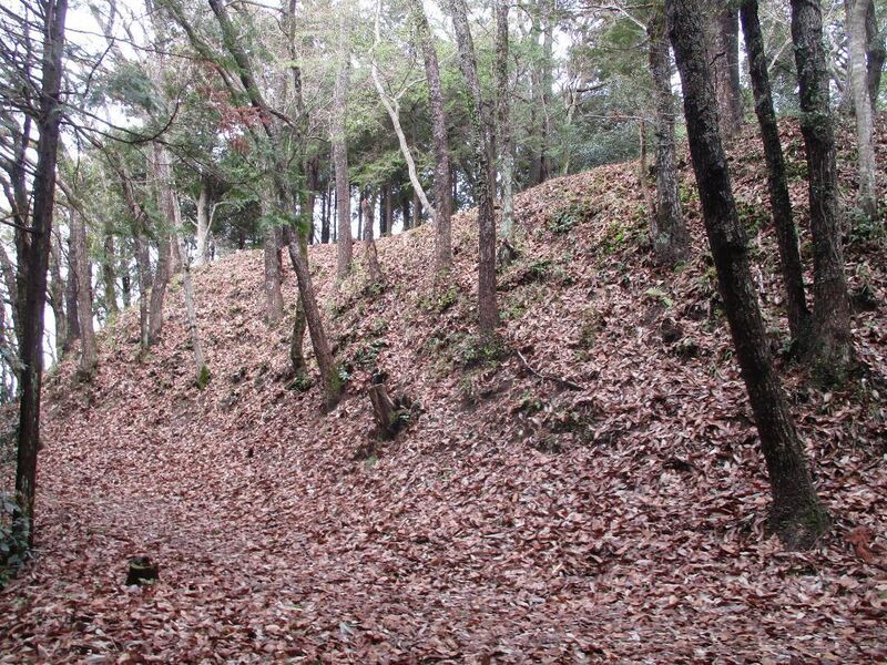 File:Shiijou (3).jpg