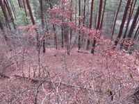筑摩竹田城12koshikuruwa.JPG