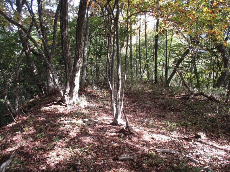 File:Gentairijou (6).jpg