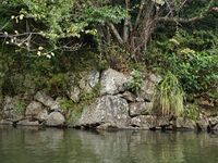 Himejiboat17.jpg