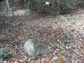 Thumbnail for version as of 10:28, 4 September 2025