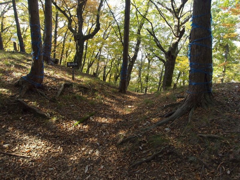 File:Kamaha14.jpg