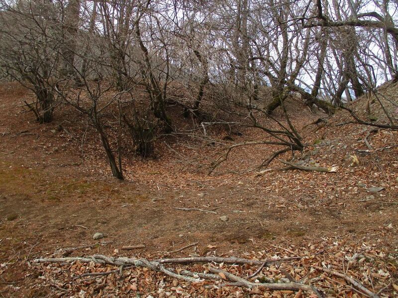 File:MisakajouB (11).jpg