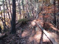 MurakamiIidzunajou (4).JPG