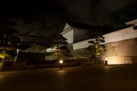 Osaka night6.jpg