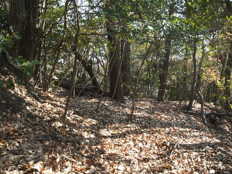 File:Shogunyama35.jpg