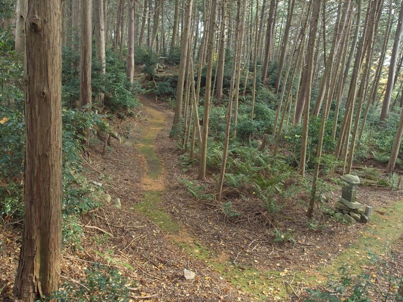 File:Azuchi east56.jpg