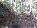 Thumbnail for version as of 00:05, 26 April 2020