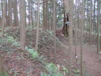 Furumiyajou (1).JPG
