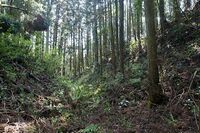 Karasuyama26.jpg