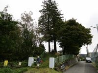 KisoKomaruyamajou5.JPG