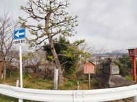 Koromo1.jpg