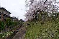 Minagawa32.jpg