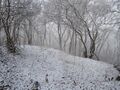 Thumbnail for version as of 19:35, 13 January 2021