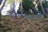 Yamabe37.jpg