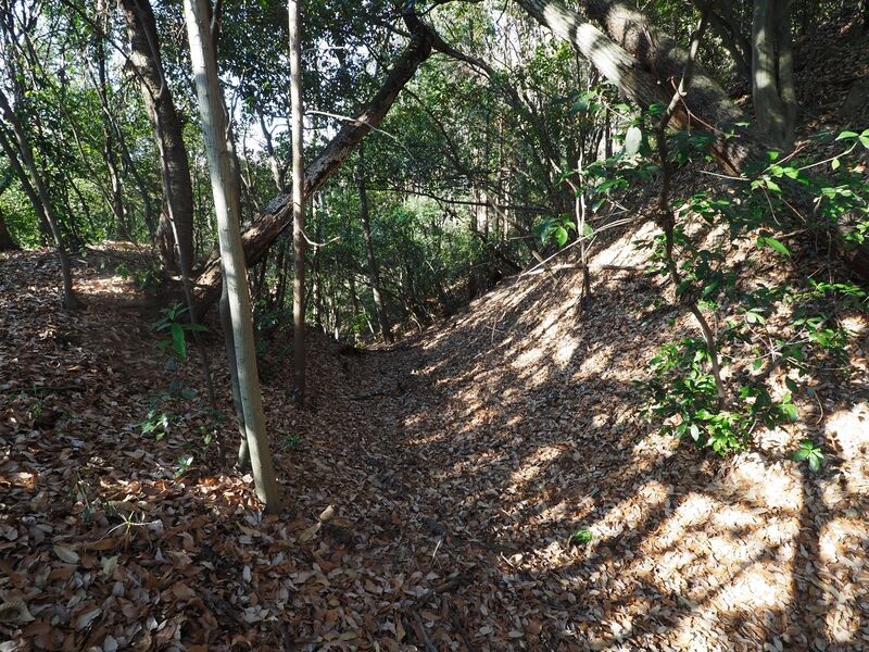 File:Yamana24.jpg