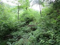AdzumiTakisawajou08.JPG